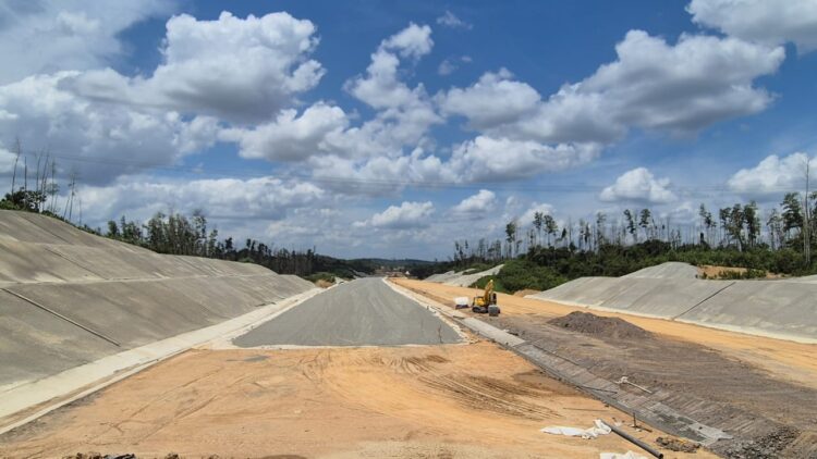 PUPR: Jalan Tol IKN Seksi 6B-6C Bakal Ditanami Bunga Fidelia