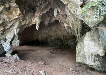 Kembangkan Destinasi Wisata di Sekitar IKN, Sandiaga Ingin Bangun Goa Tapak Raja dan Hutan Mangrove