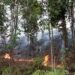 Kebakaran Hutan Landa 7 Kabupaten Dekat IKN, Beruntung Api di Penajam Paser Utara Berhasil Dipadamkan