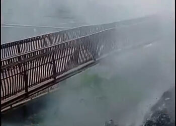 Viral! Area di KIPP IKN Terbakar, Diduga Akibat Puntung Rokok Pengunjung