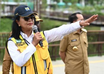 Ditugasi Kawal IKN, Dirjen Cipta Karya Diana Kusumastuti Masuk Kabinet Prabowo-Gibran