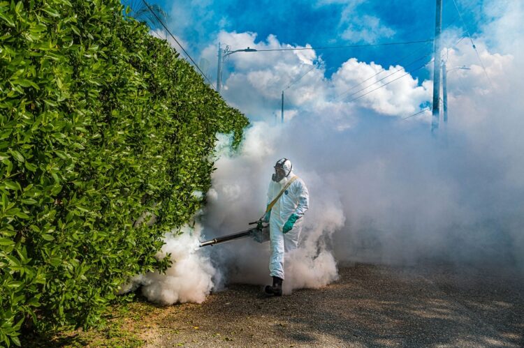 Ini Cara OIKN Cegah Penyebaran Demam Berdarah Dengue, Khususnya di KIPP