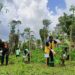 Hari Habitat Dunia 2024 Momen untuk Restorasi Hutan IKN