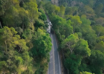 IKN Ditargetkan Memiliki Kawasan Lindung 65% dari Keseluruhan Luas Wilayahnya