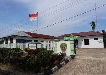 Pesatnya Pembangunan IKN Berdampak Positif bagi Kehidupan Petani di Desa Wonosari