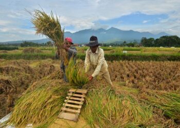 Kabupaten Penajam Atur Strategi untuk Maksimalkan Distribusi Pangan Lokal