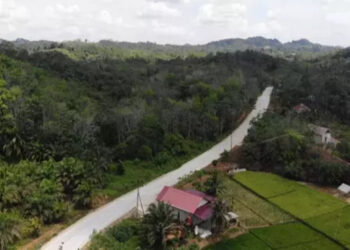 Dampak Pembangunan di Era Jokowi, Konektivitas di 3 Desa IKN Jadi Lebih Mudah