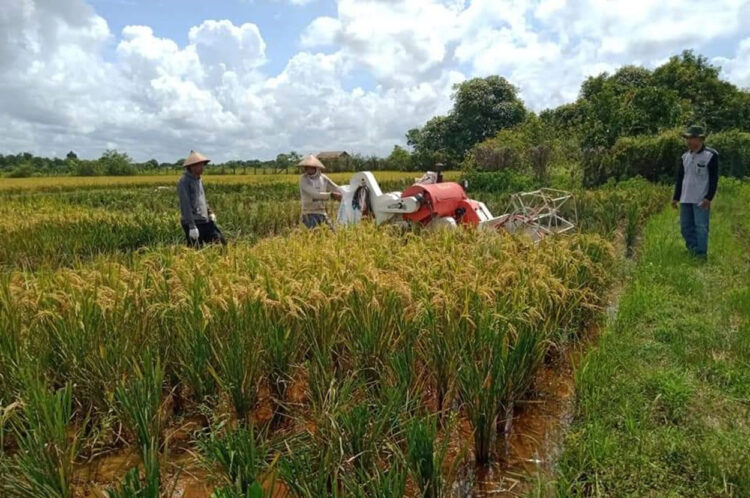 Kabupaten Berau Persiapkan Berbagai Sektor untuk Sambut Kehadiran IKN
