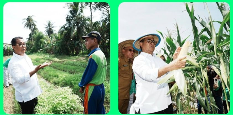 Siap Suplai Pangan IKN, Kaltim Mulai Bangun Budaya Agraris Khusus Pertanian dan Hortikultura