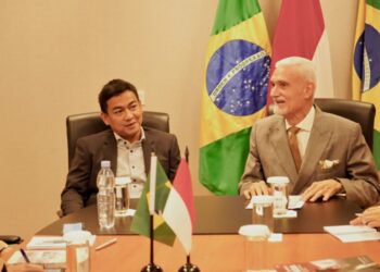 Soal Pemindahan ke IKN, Indonesia Belajar dari Brasil