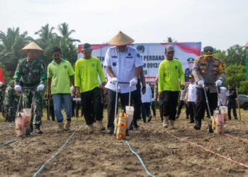 Dorong Pemanfaatan Lahan, Pj Bupati PPU Pimpin Penanaman Jagung di Desa Gunung Mulia