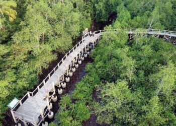 Promosi Ekowisata di Kaltim Akan Digenjot untuk Tingkatkan Kunjungan Wisatawan Mancanegara
