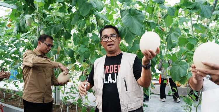 Bukan Hanya Energi, Akmal Malik Yakin Kaltim Potensial Kembangkan Sektor Pangan