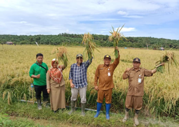 Jadi Penyangga IKN Paser Siapkan Pertanian Jadi Sektor Andalan, DPRD Soroti Banyak Lahan Tidur