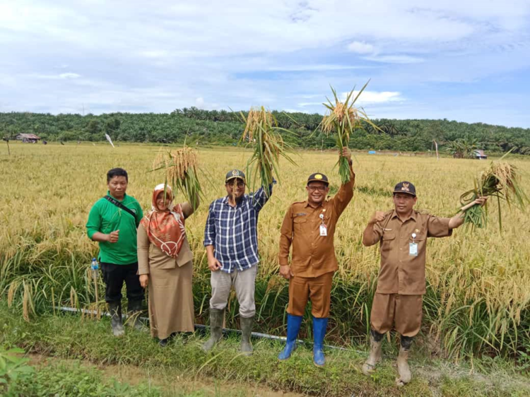 Jadi Penyangga IKN Paser Siapkan Pertanian Jadi Sektor Andalan, DPRD Soroti Banyak Lahan Tidur