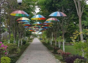 Cerita Dibalik Pembangunan Taman Bunga Rozeline di Penajam Paser Utara