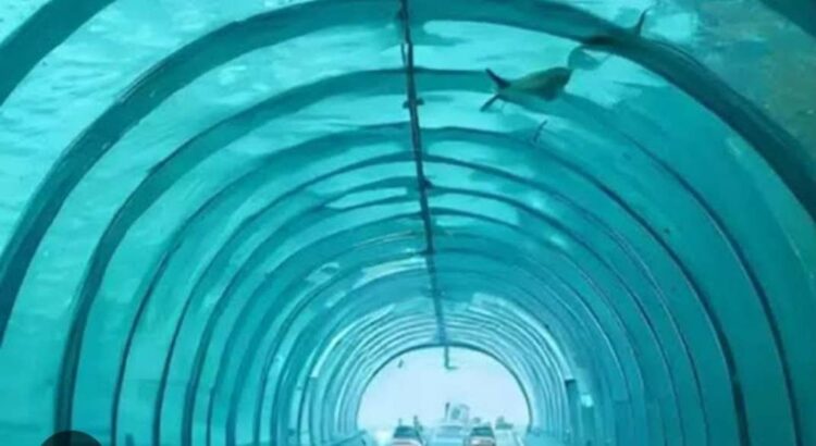 Proyek Tol Bawah Laut IKN Tak Sekadar Cita-Cita, Korea Selatan Mulai Tertarik Wujudkan Mimpi Indonesia