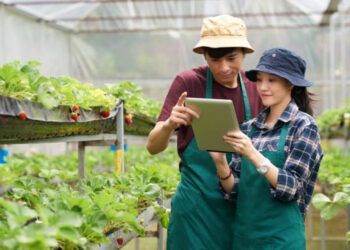 Pelajar SMA di Kalimantan Timur Didorong Aktif Tekuni Kegiatan Agribisnis