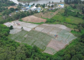 Balikpapan Antisipasi Potensi Inflasi Jelang Nataru, Ini Langkah-langkahnya