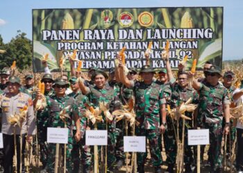TNI AD Bebaskan Ratusan Hektare Lahan di Sulteng Demi Program Ketahanan Pangan, Sokong Kebutuhan IKN