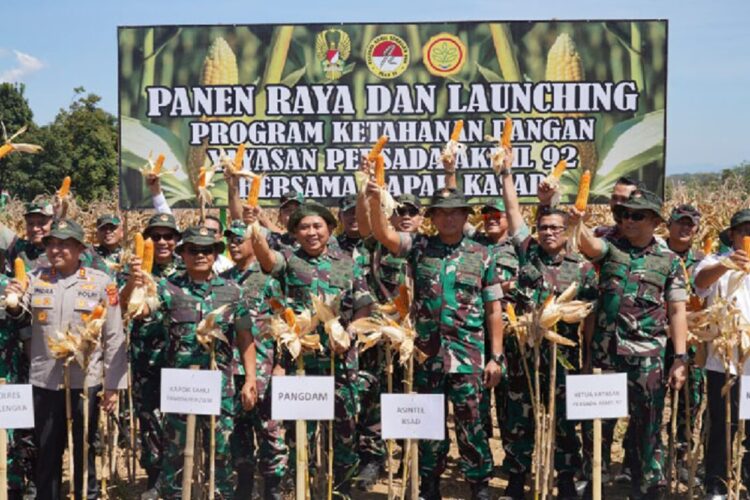 TNI AD Bebaskan Ratusan Hektare Lahan di Sulteng Demi Program Ketahanan Pangan, Sokong Kebutuhan IKN