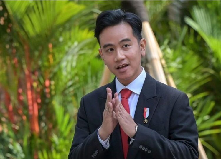 Gibran Rencana Tinjau Korban Erupsi Gunung Lewotobi NTT, ke IKN Batal?