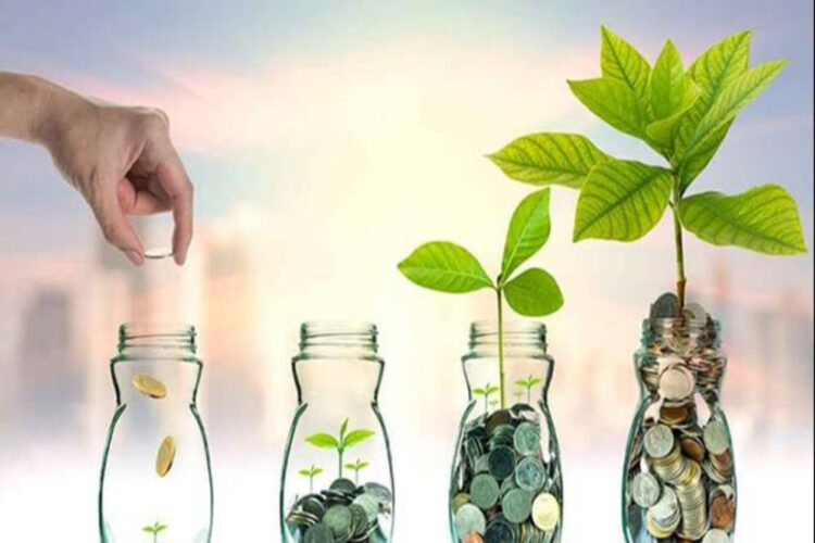 Investor yang Masuk ke Wilayah Penyangga IKN Diingatkan untuk Tidak Merusak Lingkungan