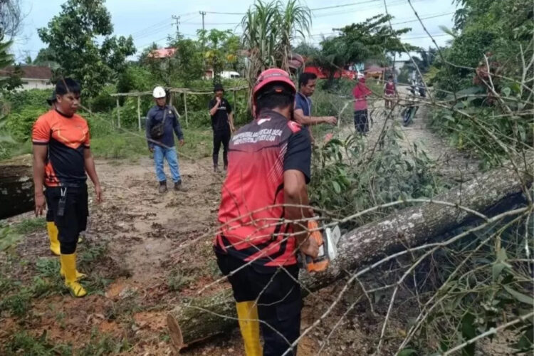 Pemkab Penajam Diimbau Prioritaskan Perencanaan Kegiatan Mitigasi Bencana