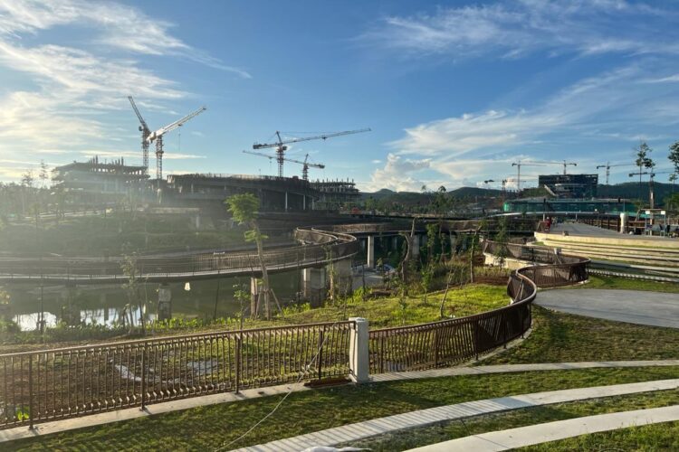 Dewan Guru Besar UI Kaji Implementasi Ekosistem Darat dalam Pembangunan IKN