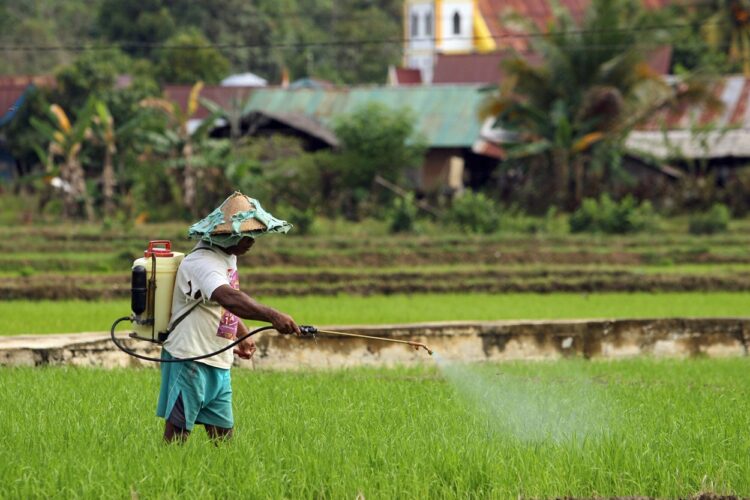Ini Jenis Pupuk yang Dibagikan PT Pupuk Kaltim pada Petani IKN Melalui Demplot
