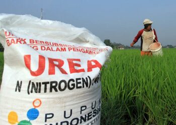 Penyerapan Pupuk Subsidi oleh Petani Penajam dan Sekitar Wilayah IKN Mencapai 3.766 Ton