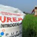Penyerapan Pupuk Subsidi oleh Petani Penajam dan Sekitar Wilayah IKN Mencapai 3.766 Ton