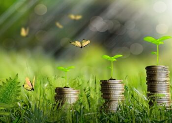 BNI Terbitkan Green Bonds, Analis: Bisa Diaplikasikan ke Pembangunan IKN Usung Forest City