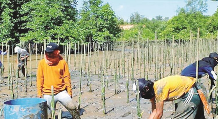 DLH Kota Balikpapan Gandeng PT Kilang Pertamina Rehabilitasi Lahan Kritis Jadi Hijau