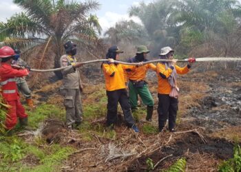 Dishut Kaltim Gelar Kampanye Lintas Sektor untuk Cegah Kebakaran Hutan