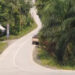 Pemkab PPU Koordinasi dengan OIKN Soal Infrastruktur Jalan di Sepaku