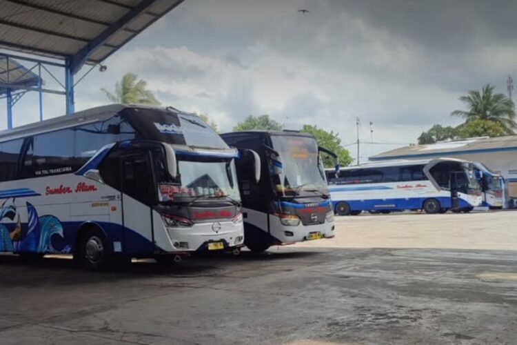 Harga Tiket Bus Sumber Alam Terkini Belum Terjadi Kenaikan Jelang Natal dan Tahun Baru