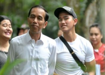 OCCRP Masukkan Jokowi dalam Nominasi Tokoh Terkorup 2024