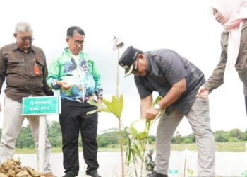 Jaga Cadangan Air, 500 Bibit Pohon Aren Ditanam di Areal Bendungan Babulu