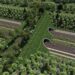 Pembangunan Tol dan Terowongan Jamin Keberlangsungan Hidup Satwa Liar di IKN