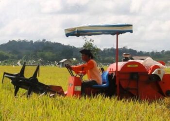 Jumlah Penduduk Tambah Dampak IKN, Kukar Fokus Tingkatkan Produksi Pangan