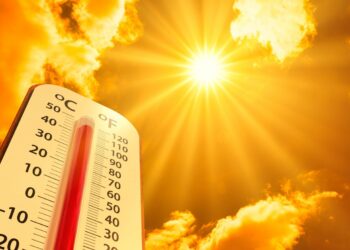 WMO: 2024 Tercatat sebagai Tahun Terpanas