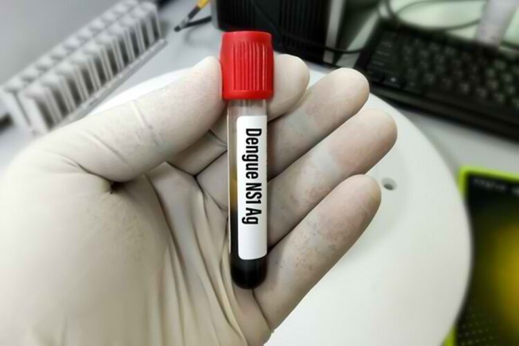 Tekan Kasus DBD di IKN, Dinkes Penajam Siapkan Tes Dengue NS1