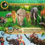IKN Bakal Punya Wisata Taman Safari