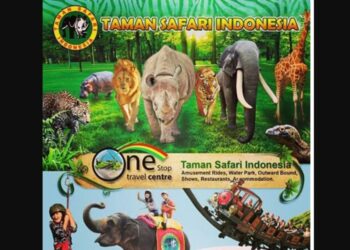 IKN Bakal Punya Wisata Taman Safari
