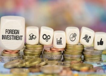 Investor dari Maroko hingga Australia Mulai Jajaki Peluang Bisnis di Serambi IKN