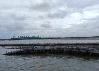 Kondisi pagar laut di perairan Kampung Paljaya, Desa Segara Jaya, Tarumajaya, Kabupaten Bekasi, Jawa Barat.-Dimas Rafi-