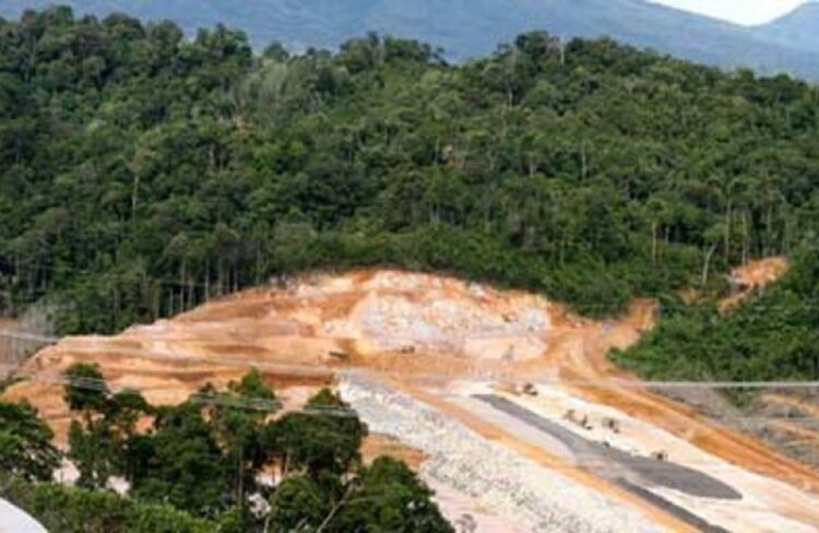 Dukung Ketahanan Pangan, Kementerian Kehutanan Pulihkan Lahan Kritis di Kaltim