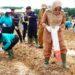 Tanam Jagung di Eks Lahan Sawit Jadi Cara Pemkab Berau Ciptakan Ketahanan Pangan