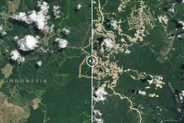 NASA Satellite Maps Tunjukkan Kondisi IKN Terkini. IKN April 2022 (kiri) dan Februari 2024
